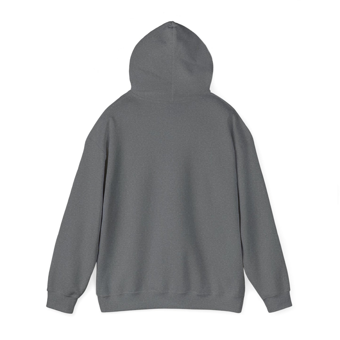 GO FORTH MEN'S Hooded Sweatshirt