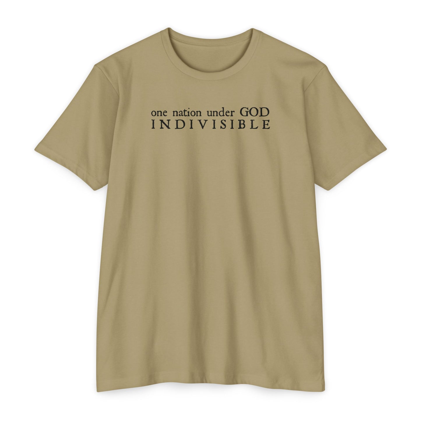 ONE NATION UNDER GOD - INDIVISIBLE Men's T-shirt