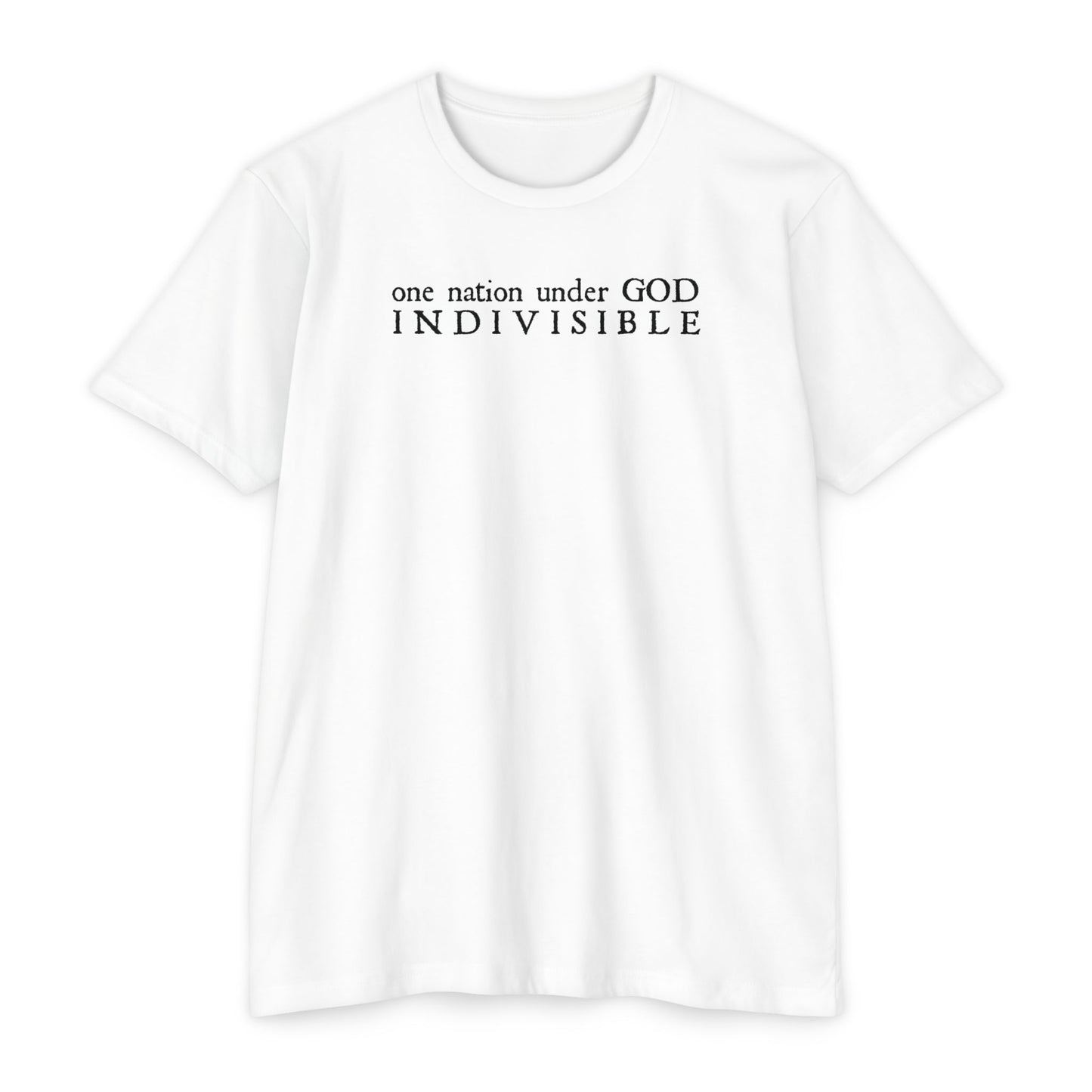 ONE NATION UNDER GOD - INDIVISIBLE Men's T-shirt