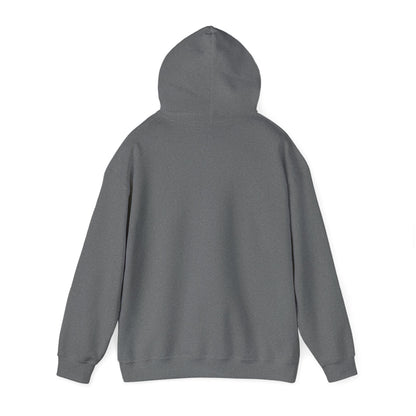 GO FORTH MEN'S Hooded Sweatshirt
