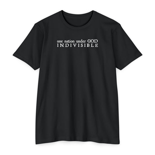 ONE NATION UNDER GOD - INDIVISIBLE Men's T-shirt