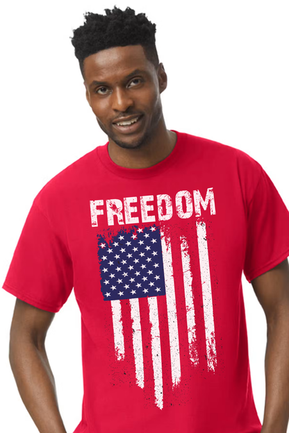 FREEDOM DISTRESSED FLAG T-shirt