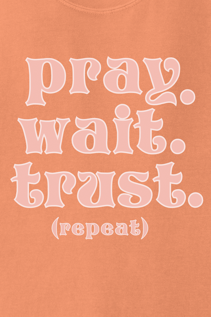 PRAY. WAIT. TRUST. (repeat) T-shirt