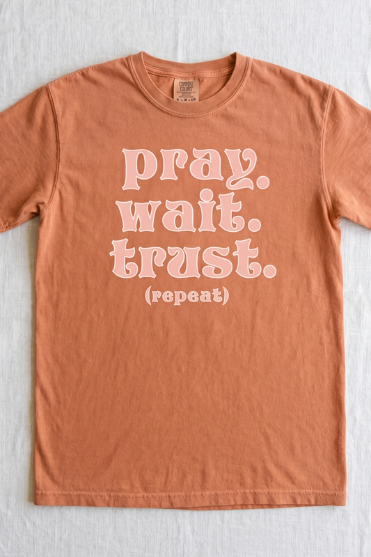 PRAY. WAIT. TRUST. (repeat) T-shirt